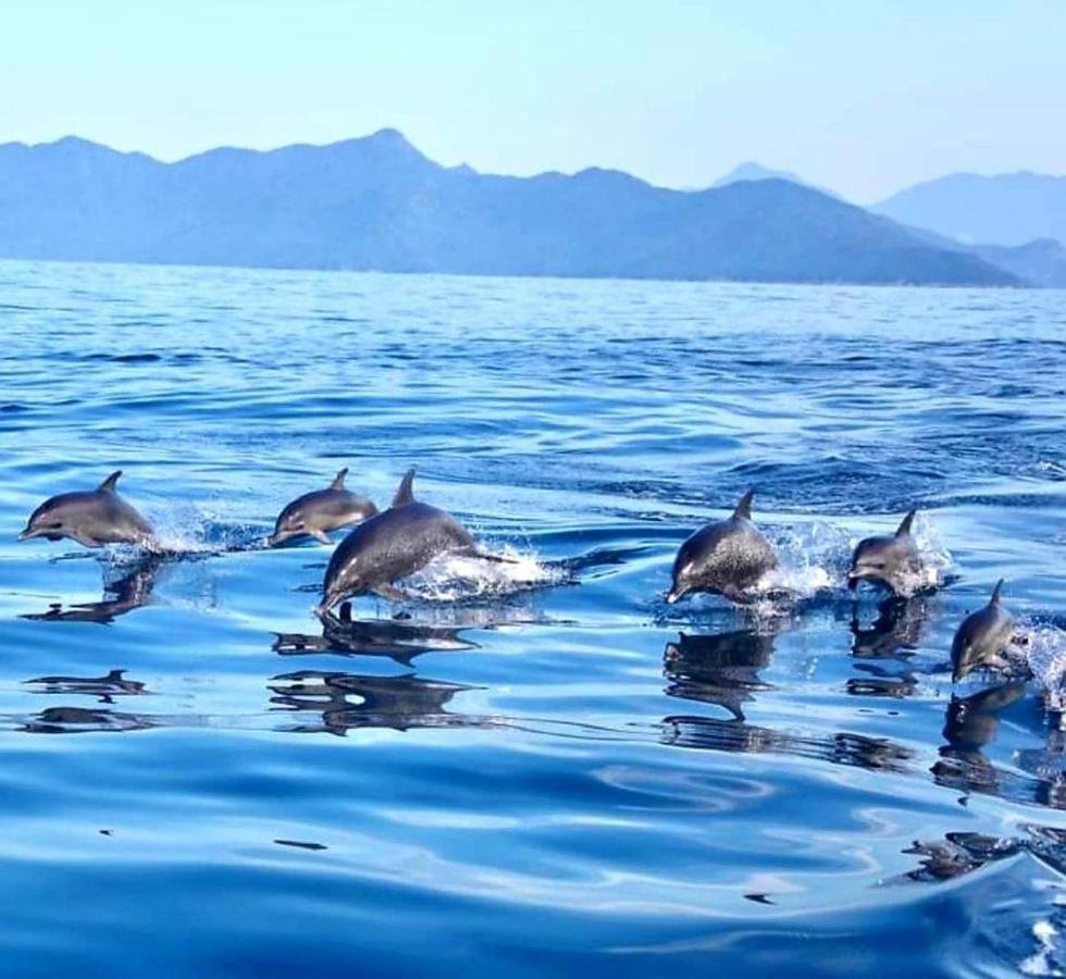Pousada Costao Do Sol أنجرا دوس ريس المظهر الخارجي الصورة